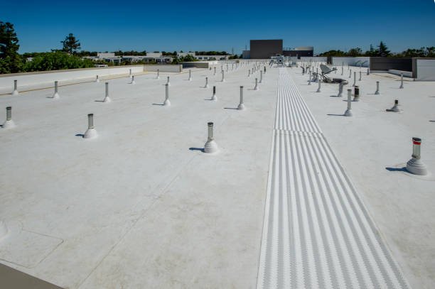 Best Roof Moss and Algae Removal  in Santa Fe Springs, CA